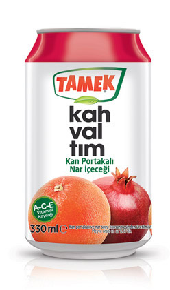 tamek  bosbessen 24 x 33 cl blik